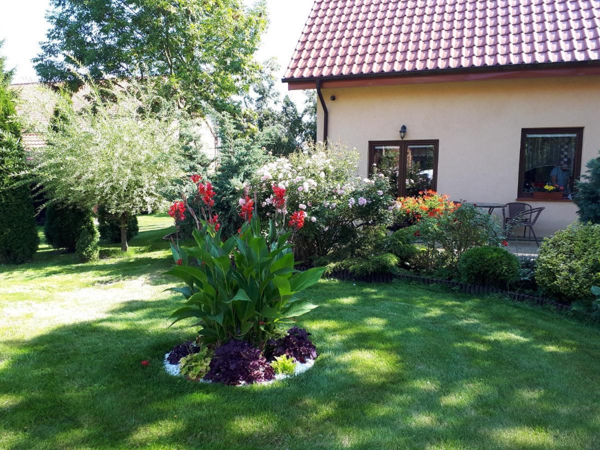 Agroturystyka Druzno 埃尔布隆格 外观 照片